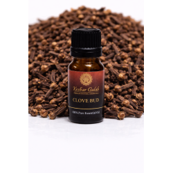Buy Clove Bud Essential Oil | Pure Syzygium aromaticum | Natural Pain & Immune Support