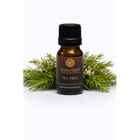 Buy Pure Tea Tree Essential Oil | Melaleuca Alternifolia | Natural Purifying Oil 10ml/15ml