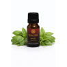 Holy Basil Essential Oil | Ocimum Sanctum (Tulsi) | 100% Pure & Natural