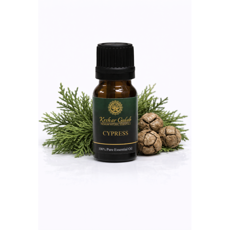 Cypress Essential Oil | Cupressus Sempervirens | 100% Pure & Natural