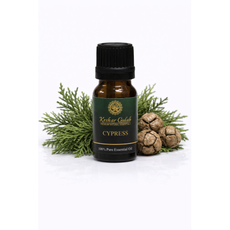 Cypress Essential Oil | Cupressus Sempervirens | 100% Pure & Natural