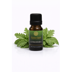 Citriodora Essential Oil | Pure Lemon Eucalyptus | Natural Mosquito Repellent