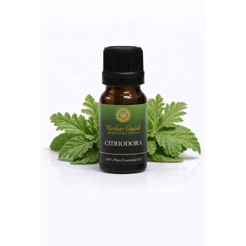 Citriodora Essential Oil | Pure Lemon Eucalyptus | Natural Mosquito Repellent
