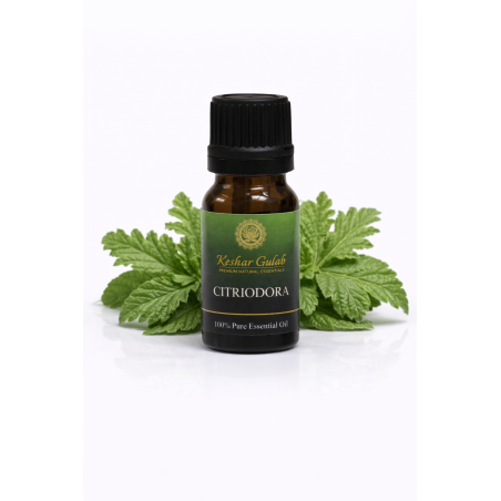 Citriodora Essential Oil | Pure Lemon Eucalyptus | Natural Mosquito Repellent