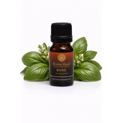 Basil Essential Oil - Ocimum Bassalicum