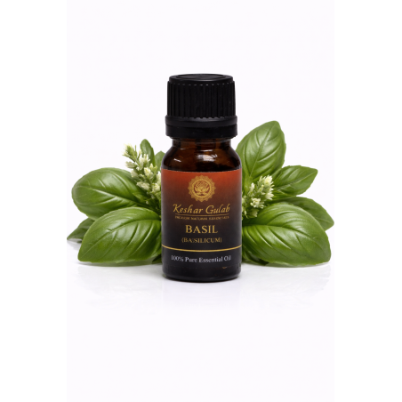 Basil Essential Oil - Ocimum Bassalicum