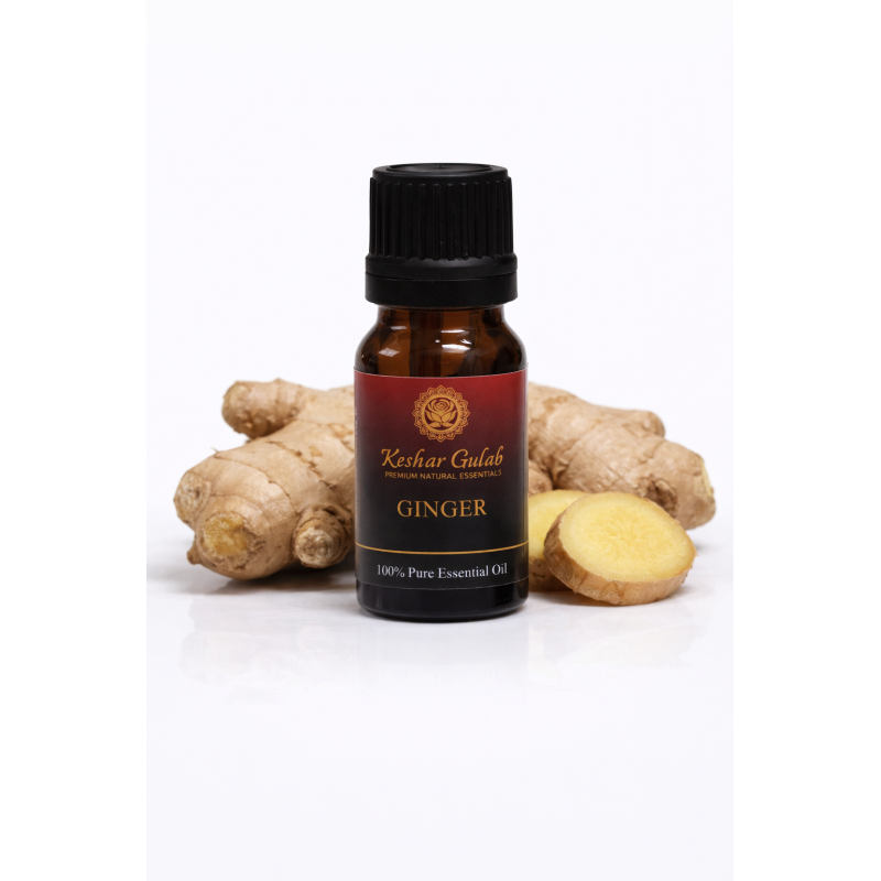 Ginger Essential Oil | Zingiber officinale | 100% Pure & Therapeutic