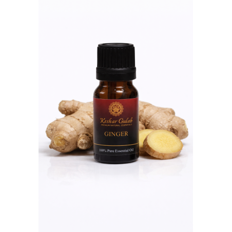 Ginger Essential Oil | Zingiber officinale | 100% Pure & Therapeutic
