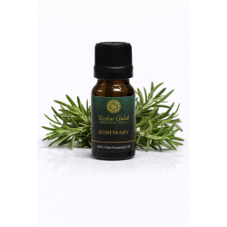Rosemary Essential Oil 100% Pure | Rosmarinus officinalis