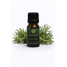 Rosemary Essential Oil 100% Pure | Rosmarinus officinalis